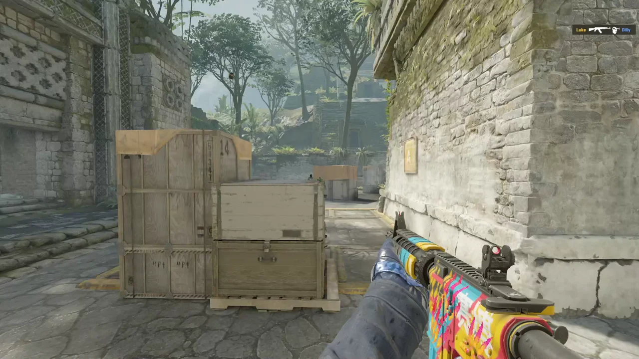 highlight
